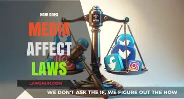 Media's Influence: Shaping Laws and Policy Through Public Perception