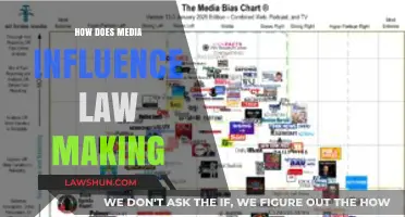 Shaping Justice: The Impact of Media on Lawmaking Processes