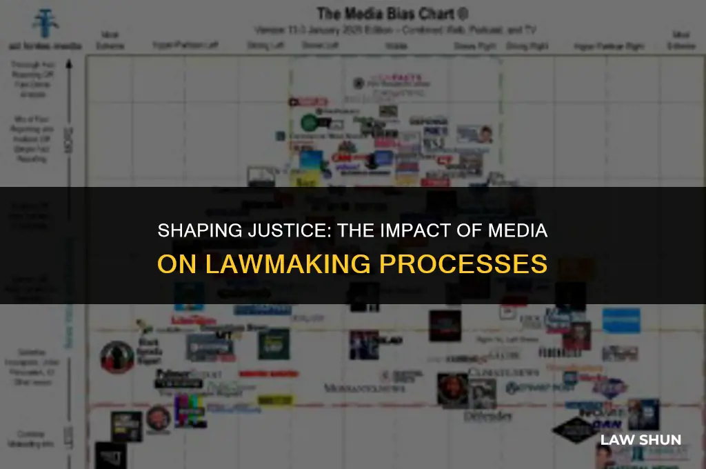 how does media influence law making