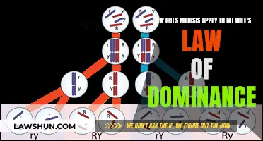 Meiosis and Mendel's Law: Understanding Dominance