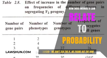 Mendel's Laws and Probability: Unraveling Genetic Inheritance Patterns