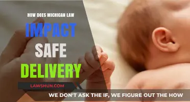 Michigan Law's Role in Ensuring Safe Delivery Practices Explained