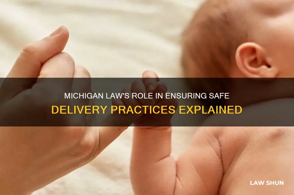 how does michigan law impact safe delivery