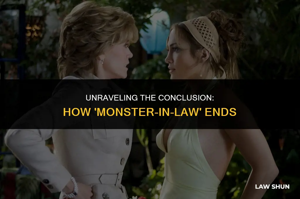 how does monster in law end