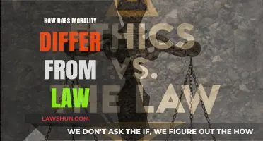 Exploring the Gray Areas: Morality vs. Law in Society