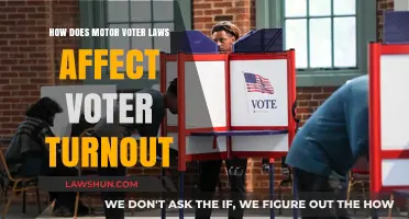 Motor Voter Laws: Boosting Voter Turnout or Just a Myth?
