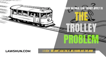 Natural Law Theory's Take on the Trolley Problem