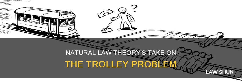 how does natural law theory apply to the trolley problem