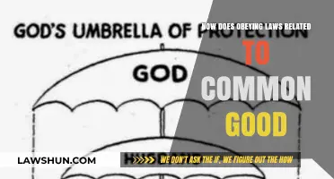 Laws, Common Good, and You