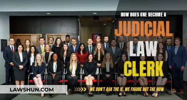 Becoming a Judicial Law Clerk: A Step-by-Step Guide