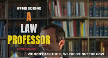 Becoming a Law Professor: The Essential Guide