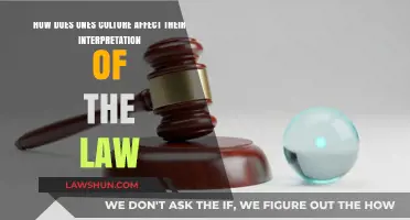 Cultural Lens: Shaping Legal Interpretation and Individual Perspectives