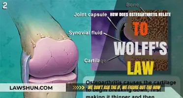 Osteoarthritis and Wolff's Law: Bone Adaptation's Role in Joint Degeneration