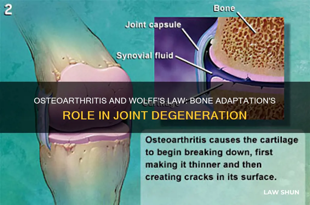 how does osteoarthritis relate to wolff