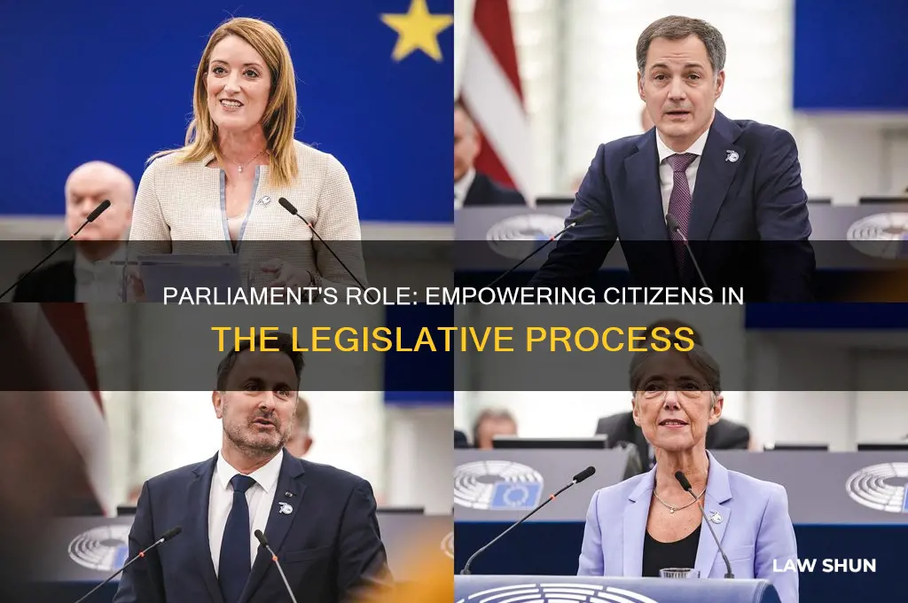 how does parliament give people a voice in law-making