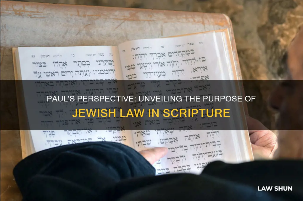 how does paul understand the purpose of the jewish law