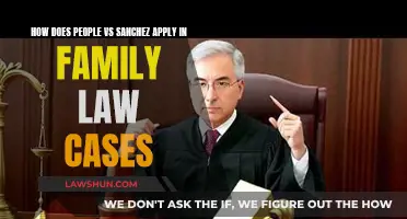 People v. Sanchez: Impact on Family Law Evidence