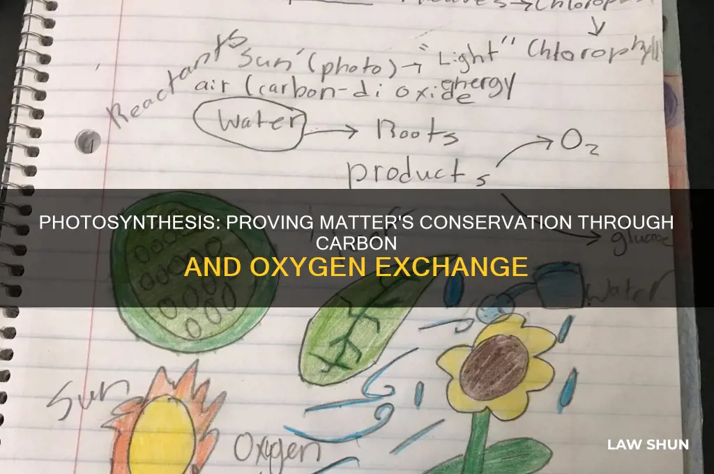 how does photosynthesis demonstrate the law of conservation of matter