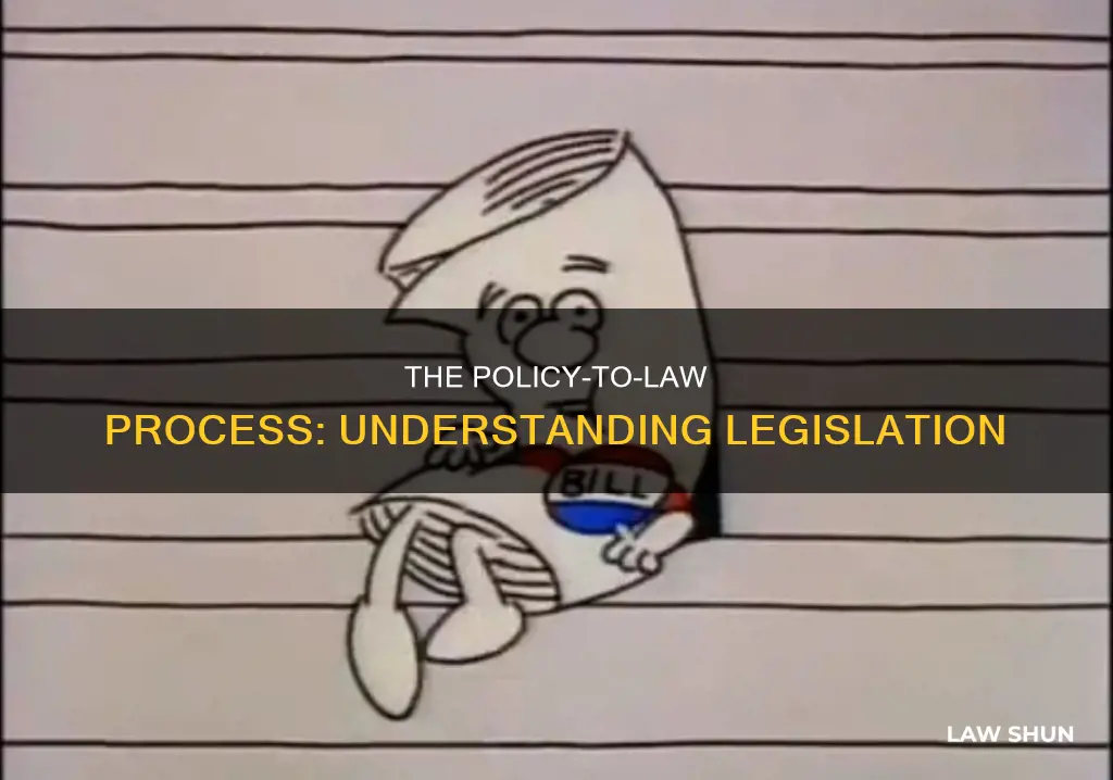 how does policies become law through legislation