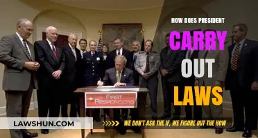 How Presidents Enforce Laws: The Executive Branch's Role Explained