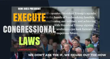 The President's Role in Executing Congressional Laws: A Detailed Guide