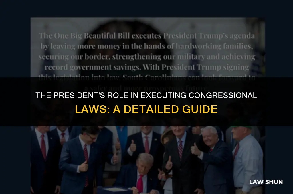 how does president execute congressional laws