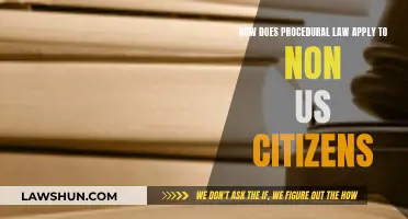 Procedural Law: Rights of Non-US Citizens Explained