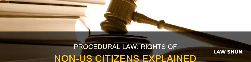 how does procedural law apply to non us citizens