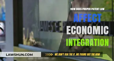 Patent Law's Role in Driving Seamless Economic Integration and Growth