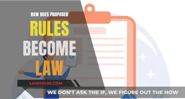 The Rules to Becoming Law