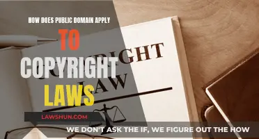 Public Domain and Copyright Laws: Understanding the Basics