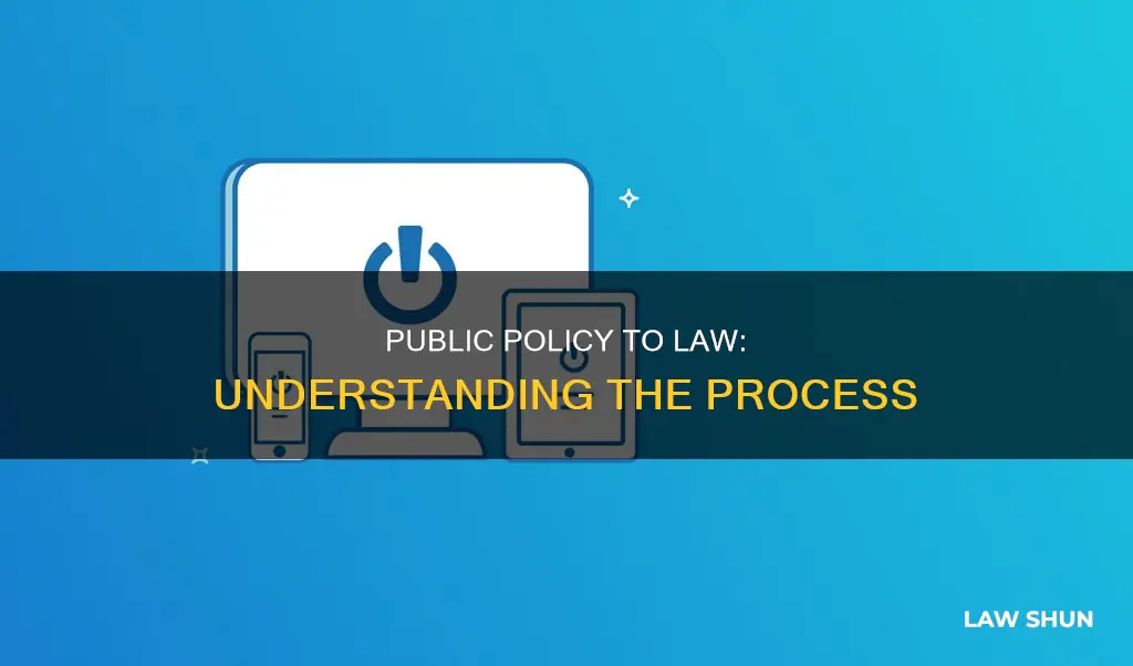 how does public policy become law