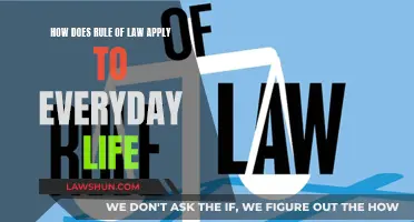 The Rule of Law: Everyday Applications and Impact