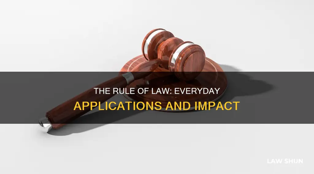 how does rule of law apply to everyday life