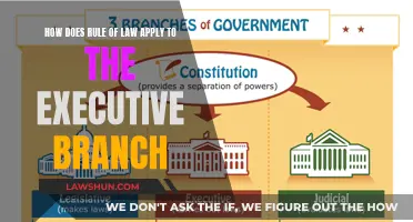 The Executive Branch: Rule of Law in Action