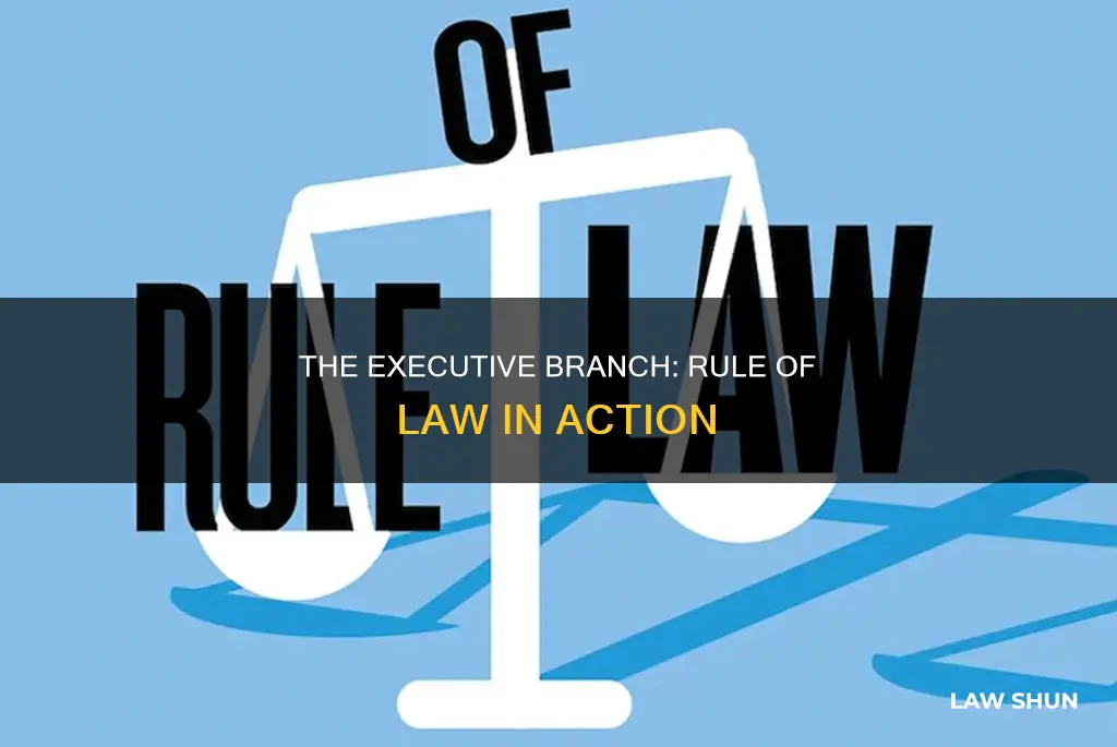 how does rule of law apply to the executive branch