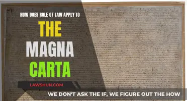 The Magna Carta: Rule of Law Foundations