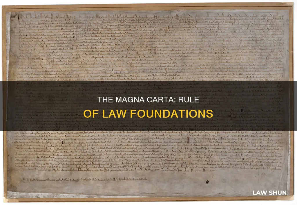 how does rule of law apply to the magna carta