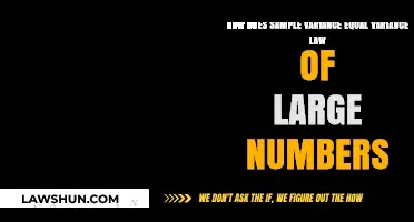 Understanding Sample Variance and the Law of Large Numbers Connection