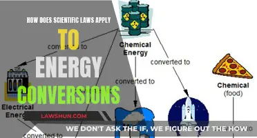 Scientific Laws: Governing Energy Conversions and Transformations