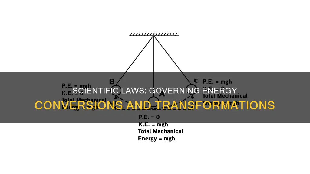 how does scientific laws apply to energy conversions