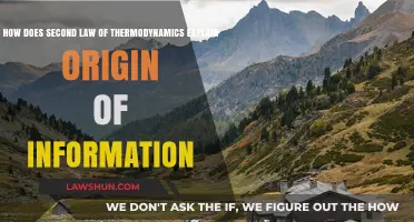Thermodynamics Unveils: Information's Origin Explained by Entropy's Arrow