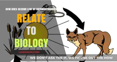 Biological Entropy: Exploring Thermodynamics' Second Law in Life Processes