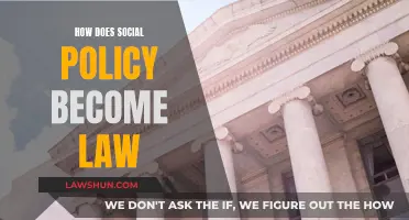 Social Policy to Law: Understanding the Process