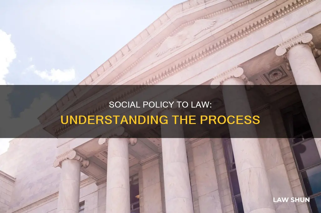 how does social policy become law