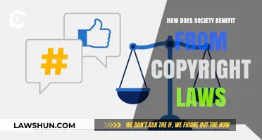 Copyright Laws: Protecting Creativity and Driving Societal Progress and Innovation