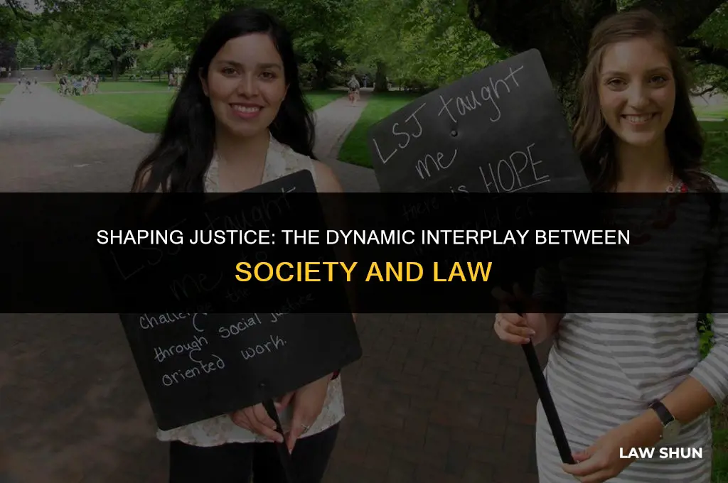 how does society impact the law