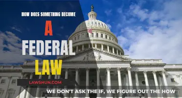 The Legislative Process: Federal Laws Explained