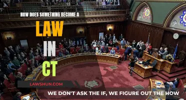 The Process of Lawmaking in Connecticut