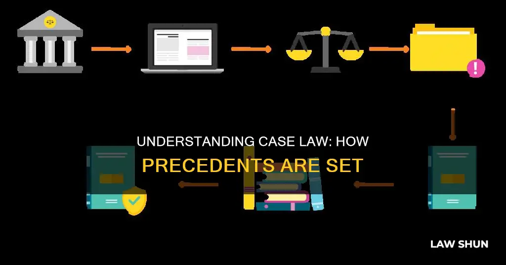 how does something become case law